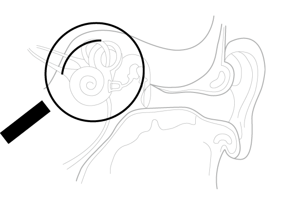 Warp processing inside ear