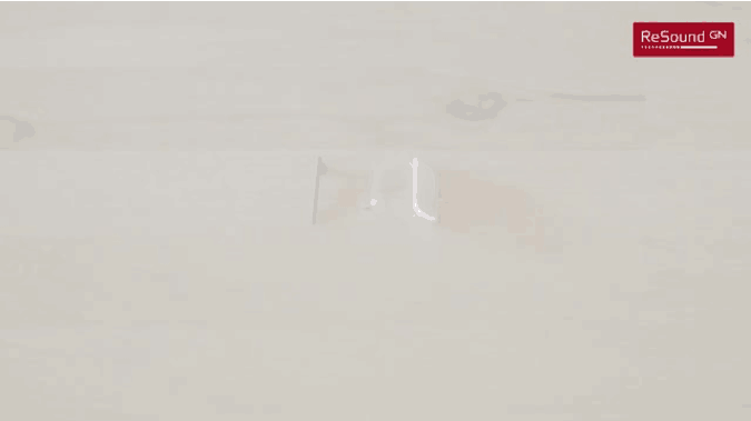 Filtre du microphone